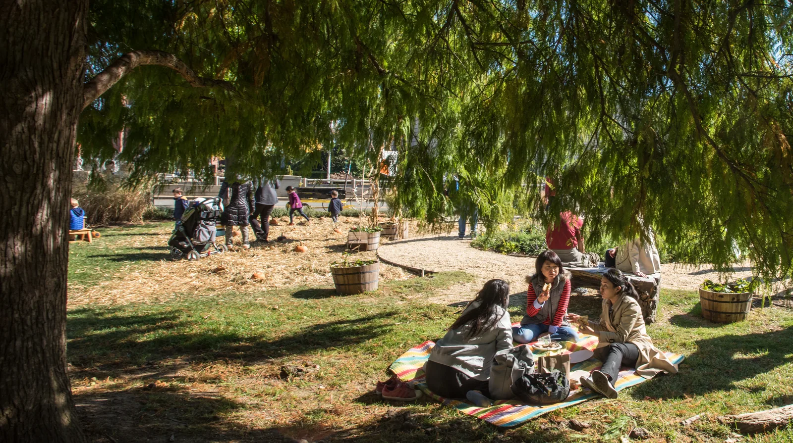 Een plek op de vrijmarkt: regels, kleedjes en tijden Een plek op de vrijmarkt: regels, kleedjes en tijden